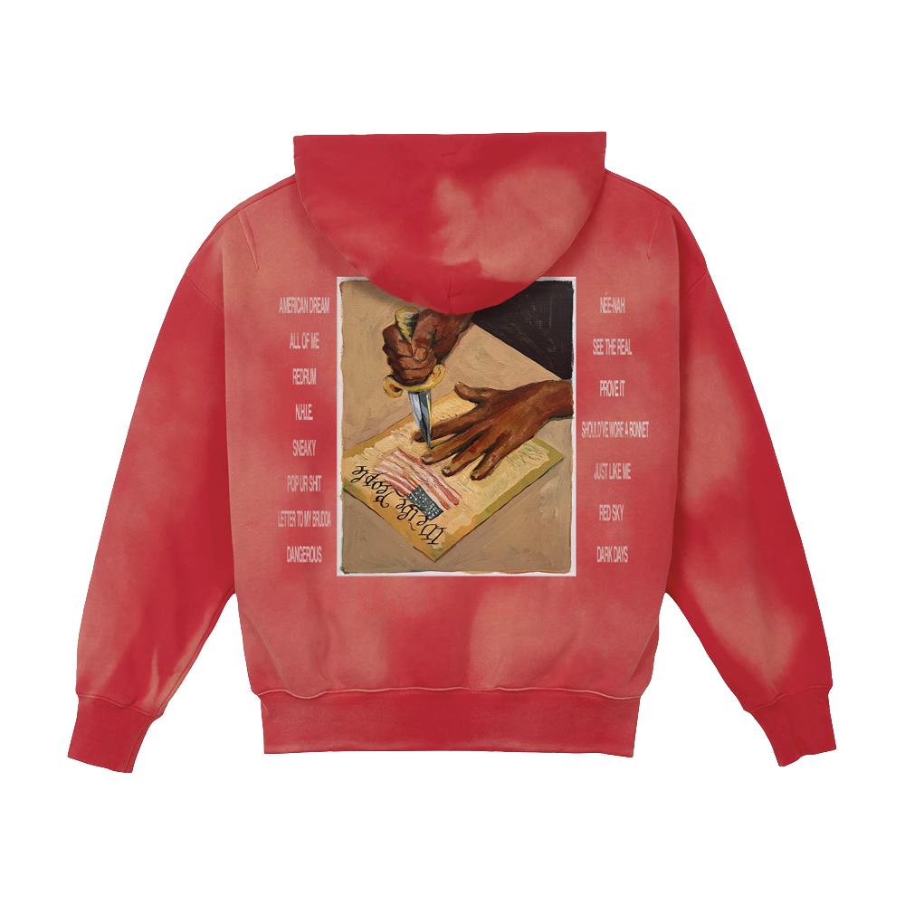 We The People Hoodie Back